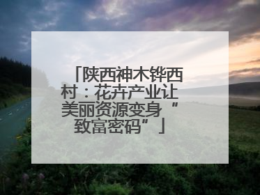 陕西神木铧西村：花卉产业让美丽资源变身“致富密码”
